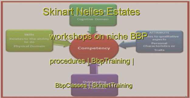 Skinart Nelles Estates workshops on niche BBP procedures | BbpTraining | BbpClasses | SkinartTraining-Canada